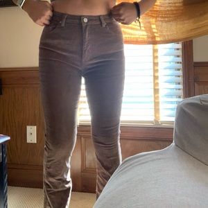 Brown bootcut pants